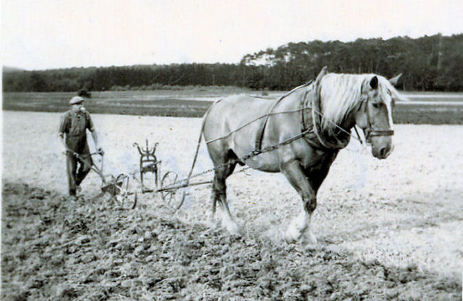 Kuvahaun tulos haulle plowing horses 1800